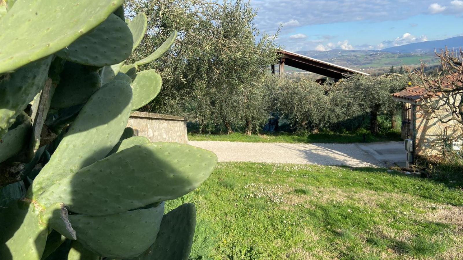Villa Casa Civico22 Fratta Todina Esterno foto